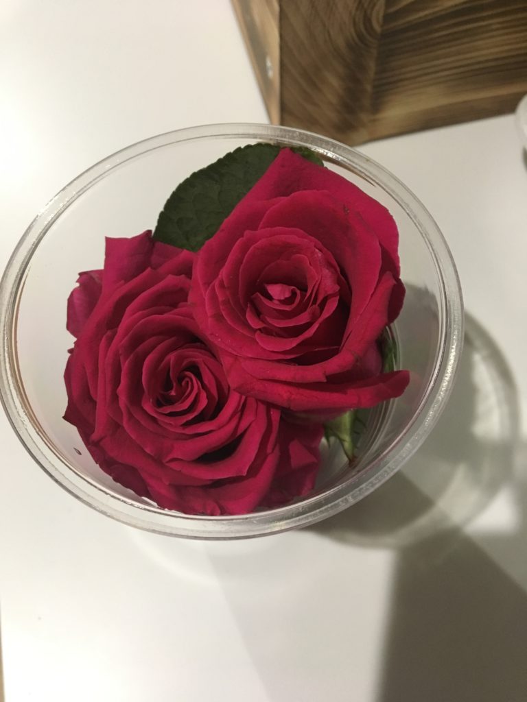 薔薇